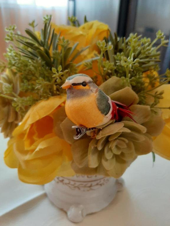 鲁塞Luny apartment的鸟儿坐在花瓶上