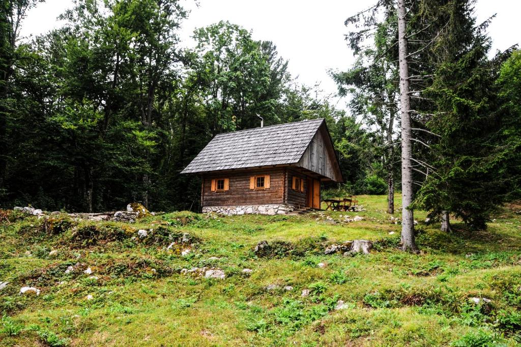 博希尼Gorska hiška Vogar nad Bohinjskim jezerom的田野上小山上的小房子