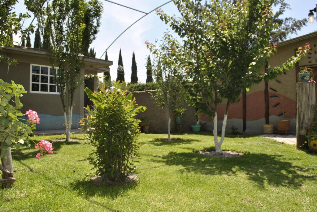 圣胡安特奥蒂瓦坎Temazcal Casa de Barro的庭院里种有树木和灌木的花园