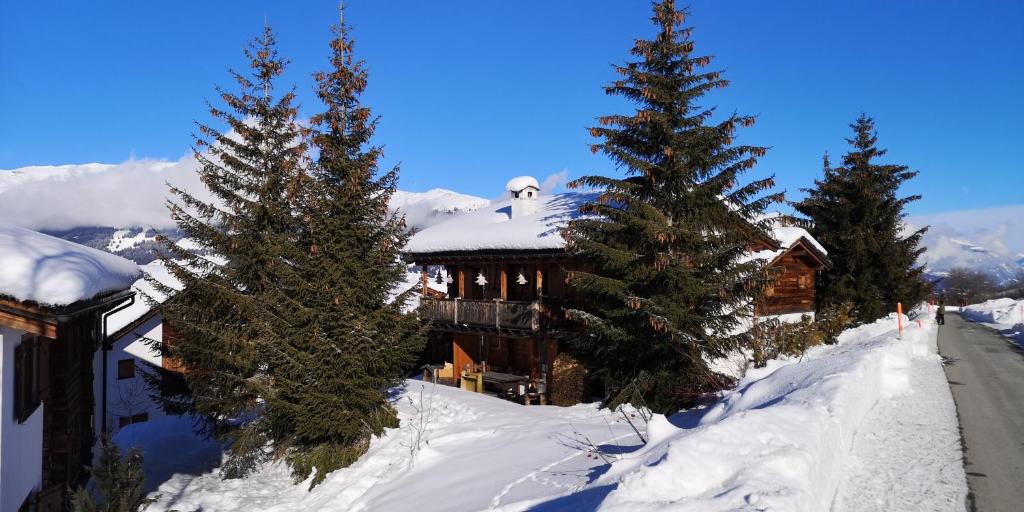 上萨克森grosses Ferienhaus mit Sauna im Skigeb. Obersaxen的雪中的房子,前面有树木
