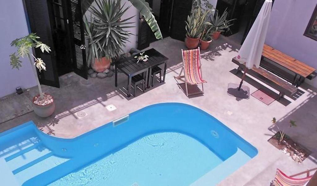 明德卢Casa Colonial的种植了植物的院子中的蓝色游泳池