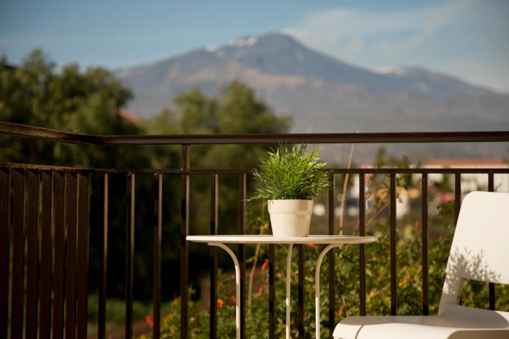 圣格雷戈廖迪卡塔尼亚B&B Etna Europa的阳台上的桌子上放着盆栽植物
