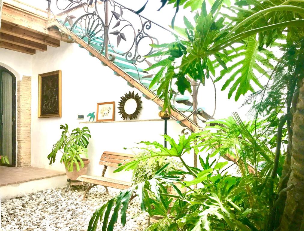贝赫尔-德拉弗龙特拉CASA DEL TEATRO Luxury Casas Vejer Debra的一个带长凳的门廊和一些植物