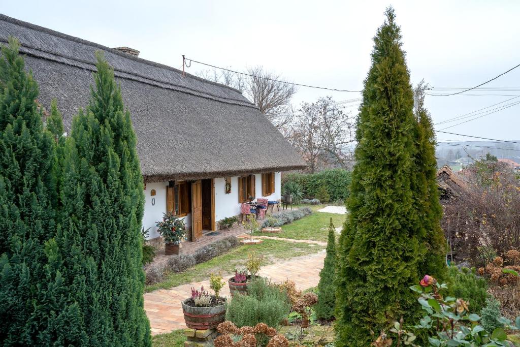 ÉcsMagdolna Vendégház Magánszálláshely的小屋 - 带花园和树木