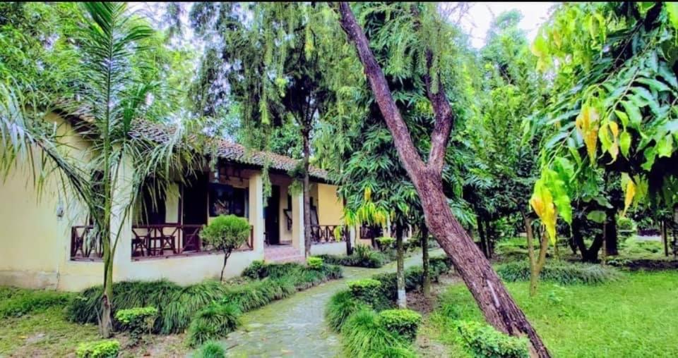 BhurkīāRhino Lodge Bardia Pvt Ltd的花园中树木繁茂的房屋