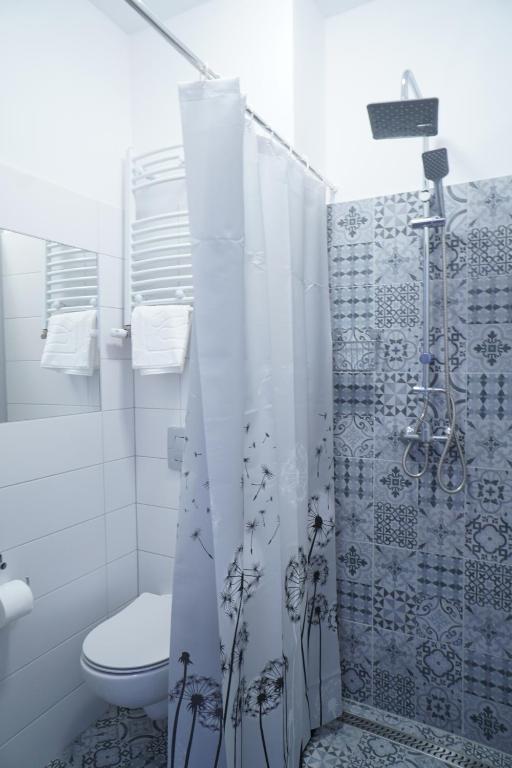 科沙林Stary Koszalin Hostel &amp; Hotel Services的带卫生间和淋浴的浴室