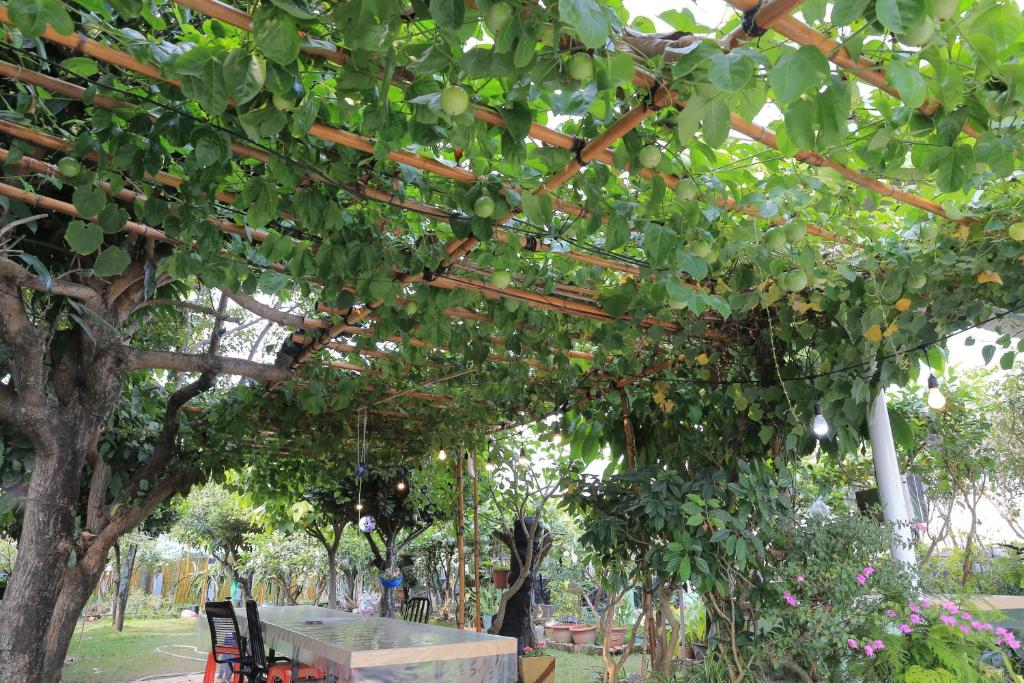 屏东县桥畔民宿的树下有水果的桌椅
