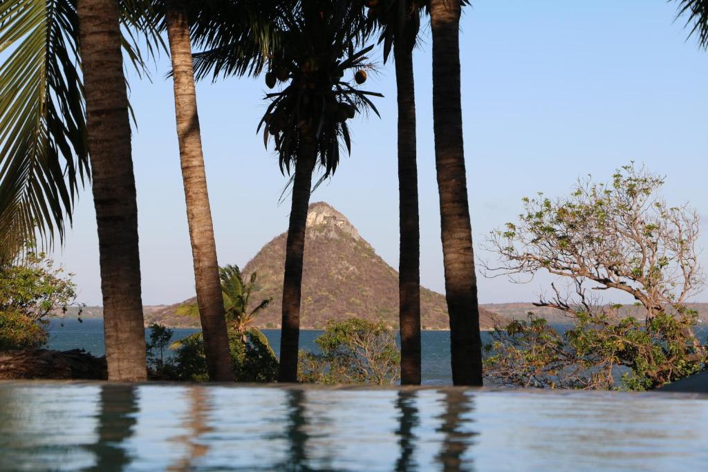 迭戈苏瓦雷斯Hotel De La Baie的棕榈树和山底下的游泳池