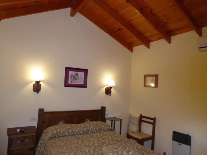 贝尔格拉诺将军镇Lo de la Omi的卧室配有一张床,墙上有两盏灯