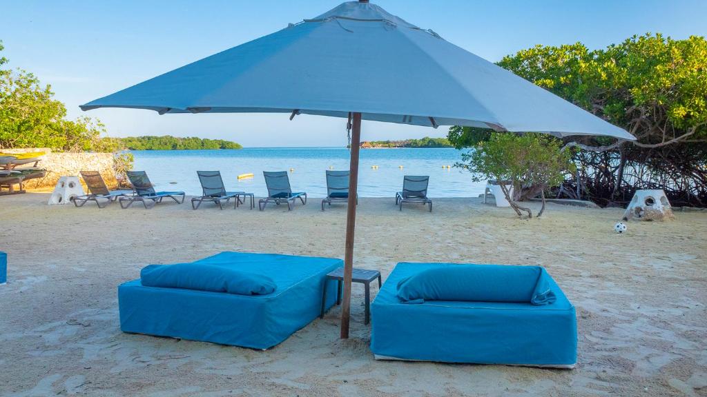 巴尔Aura Hotel Barú的海滩上的2把蓝色椅子和1把遮阳伞