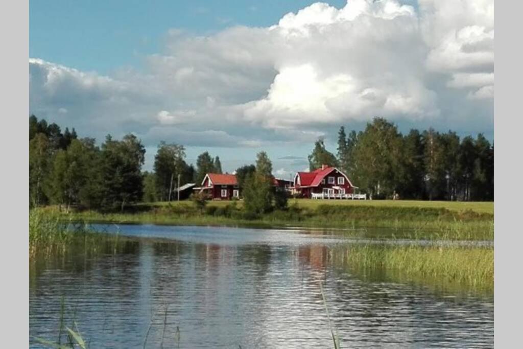 YtterhogdalGammal Stugan SKOGSFEEN的田间中带房屋的湖泊