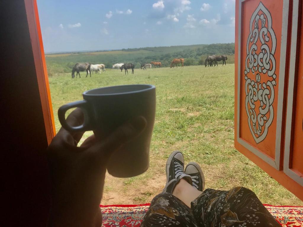 希欧福克Dharma Horse Shelter Bungalows & Farmping的持着咖啡杯的人,看着一群马的窗户