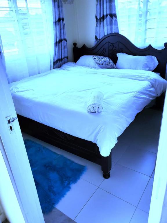 基苏木Standard Gardens 1-2-3 bedrooms Apartment Kisumu的一间卧室配有带白色床单和枕头的床。