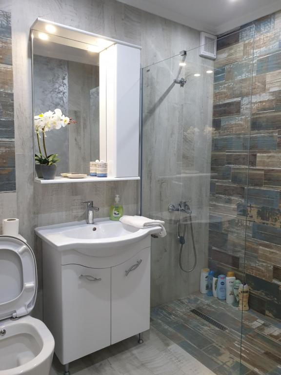 拉姆尼库沃尔恰Studio David的浴室配有卫生间、盥洗盆和淋浴。