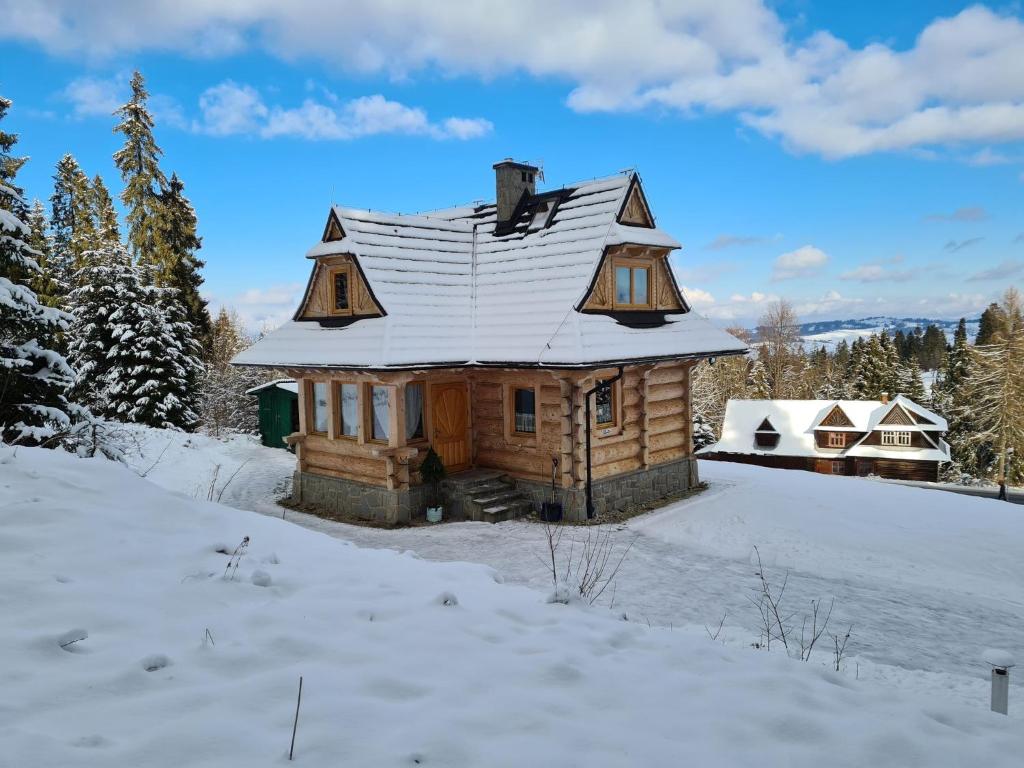 布科维纳-塔钱斯卡Alpinka的雪地小木屋