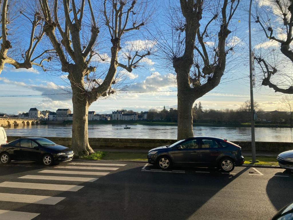 希农Le Charles VII - VIENNE的两辆汽车停在河边的停车场