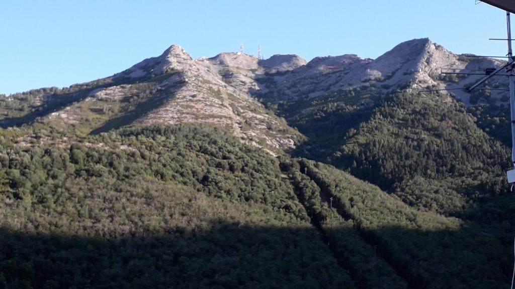 马尔恰纳Casa Natura & Relax-Goelba的山地,山地覆盖着树木,山地背景