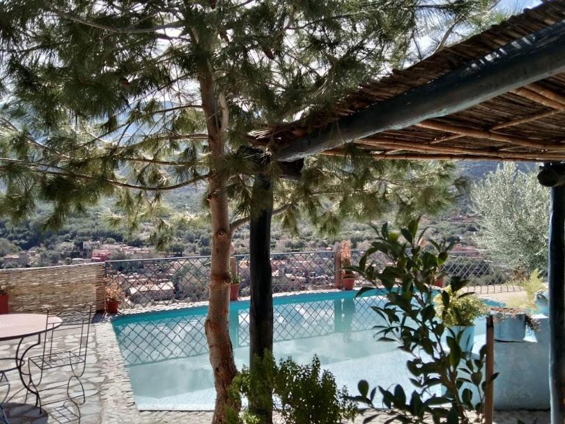 奥伊俄贞Kasbah de Ouirgane的享有带树的游泳池的景色