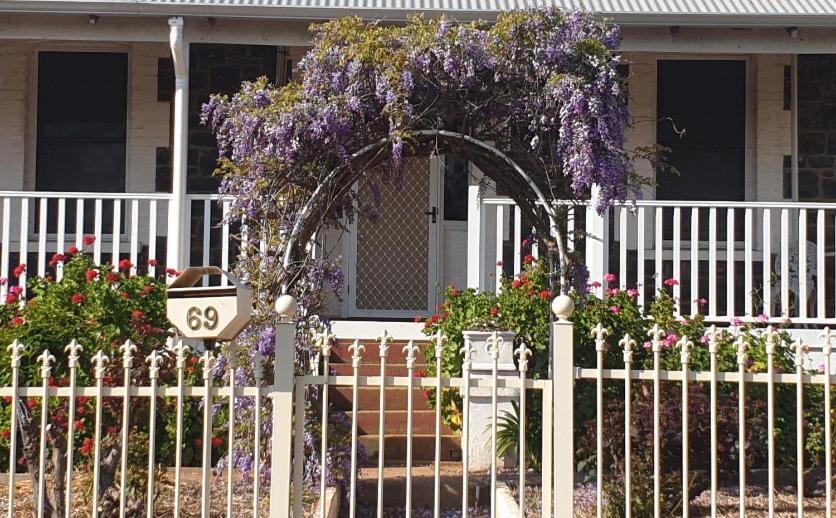 诺瑟姆Roseneath Cottage的紫色花卉白栅栏的房子