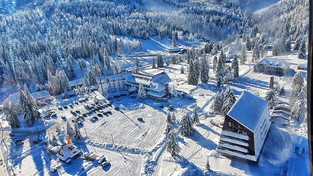 斯塔纳德瓦勒Hotel Iadolina的雪中滑雪小屋的空中景致