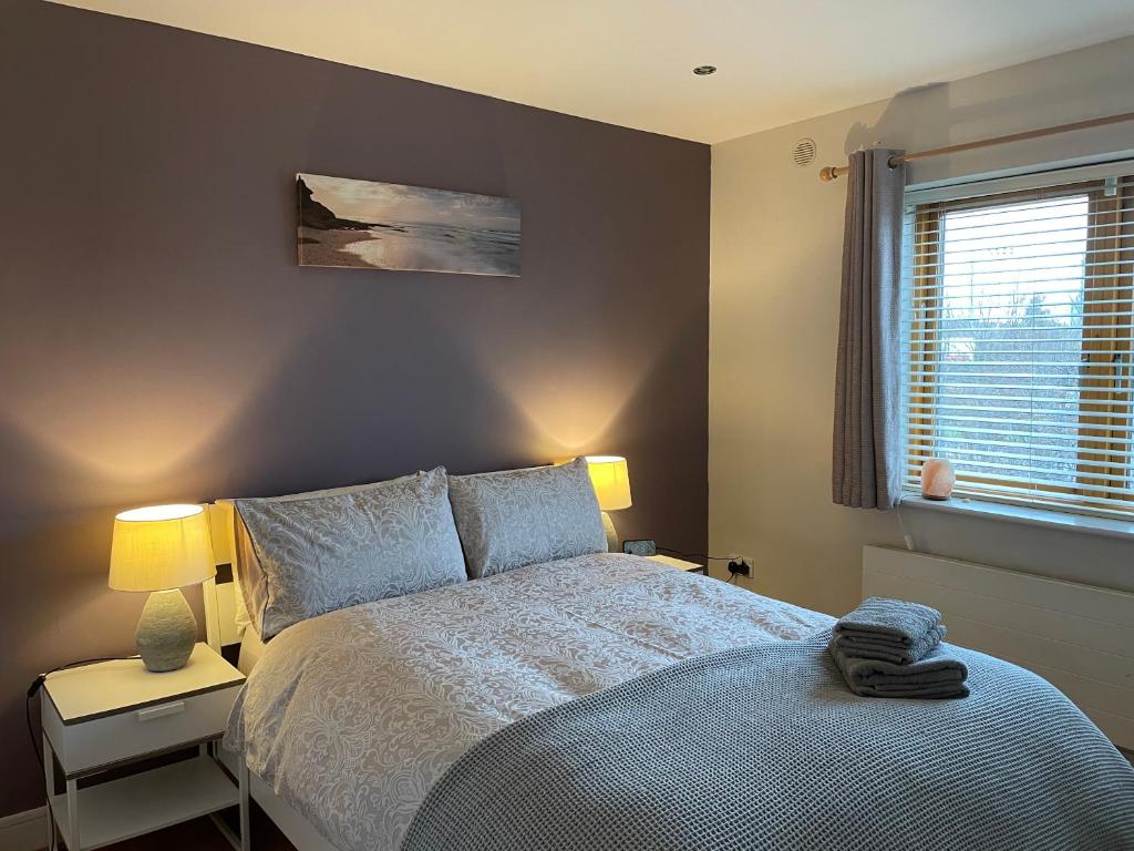 都柏林Boden Heath的一间卧室配有一张床、两盏灯和一个窗户。