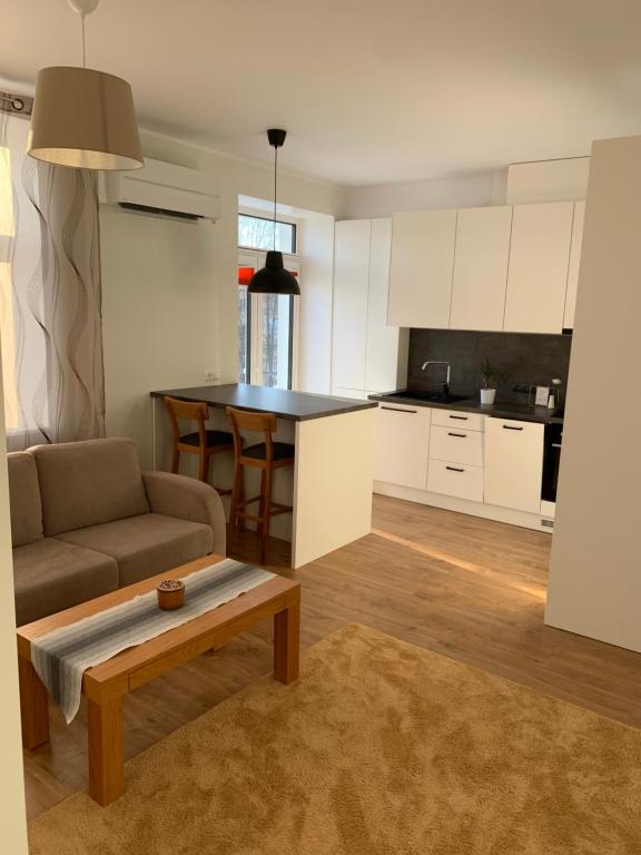 塔尔图Staadioni apartment的厨房以及带沙发和桌子的客厅。