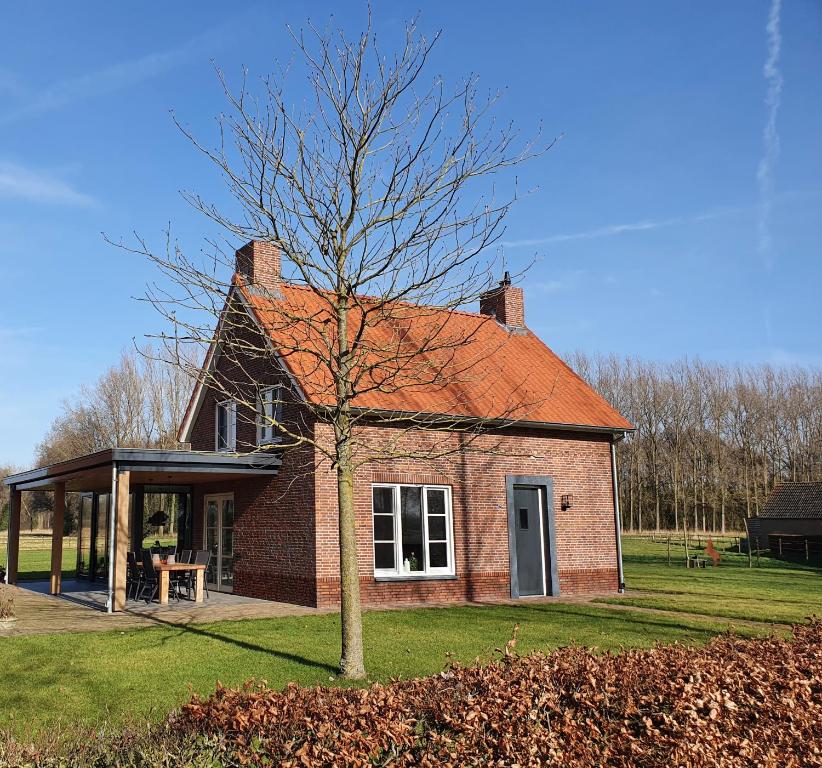 Sint-OedenrodeB & B de Stok的前面有一棵树的小砖房子