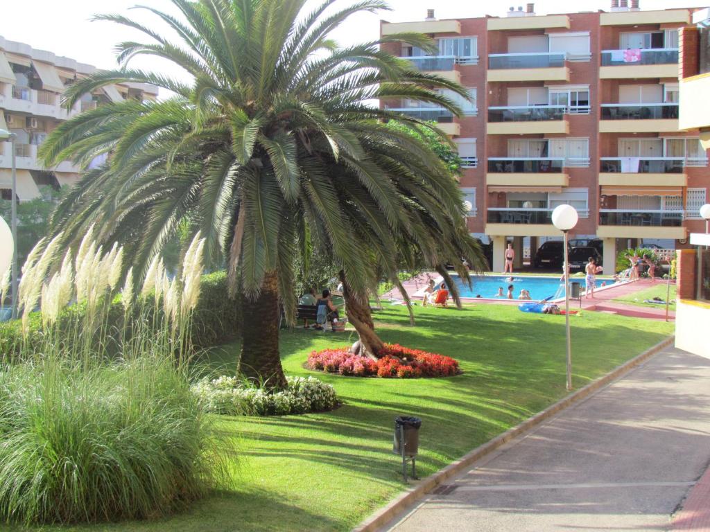 坎布里尔斯Apartamentos Alquihouse Vilafortuny的一座建筑物旁的公园里的棕榈树