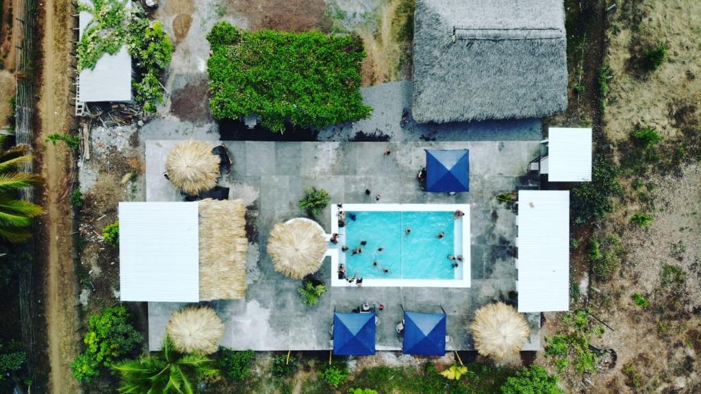 AposentilloBadaboom Hostal & Surf的享有树木庭院游泳池的顶部景色