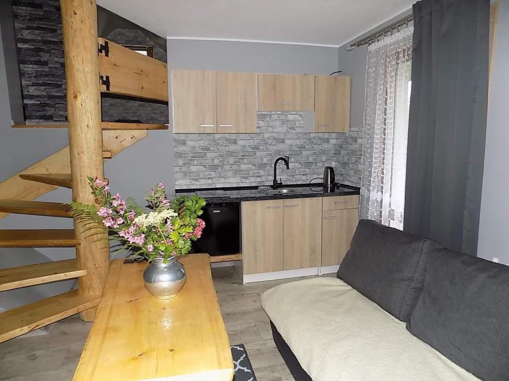 乔尔什滕U Halinki的带沙发和桌子的客厅以及厨房。