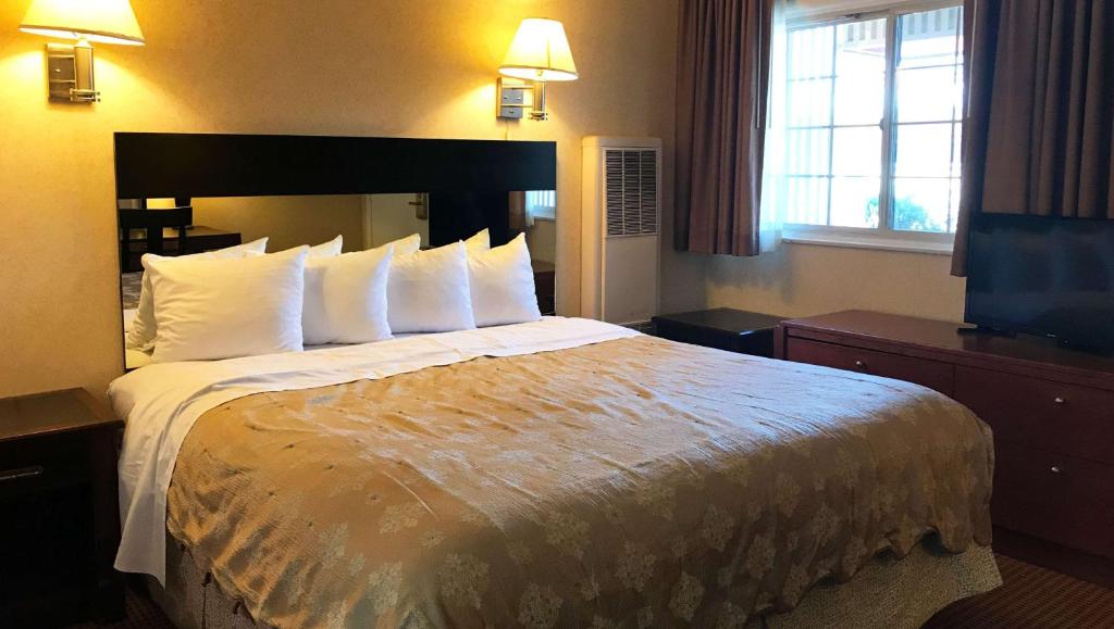 旧金山Pacific Heights Inn的酒店客房配有一张带白色枕头的大床