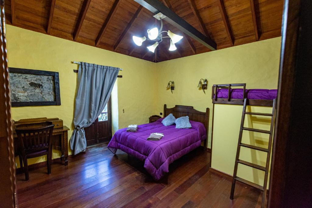巴列埃尔莫索Casa Rural Abuelo Ramón的一间卧室配有一张带紫色床单和梯子的床。