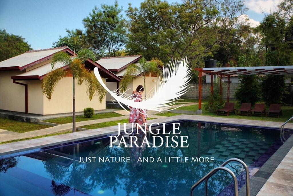 达瓦拉维Jungle Paradise的游泳池旁有白色鸟像的女人