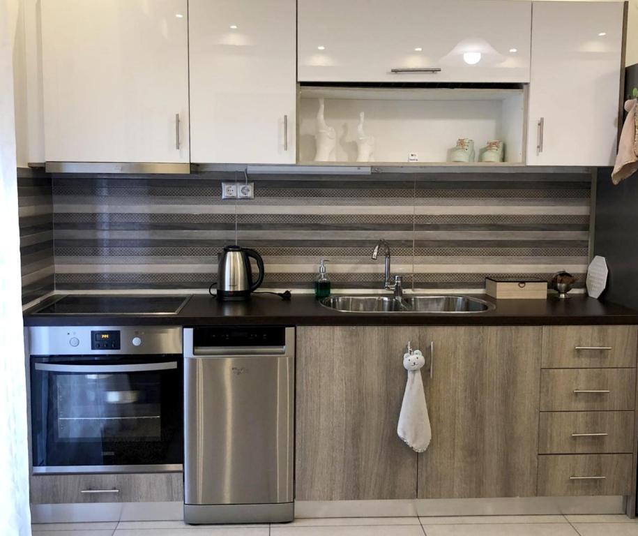 科扎尼Xenia_Apartments A6的厨房配有水槽和炉灶