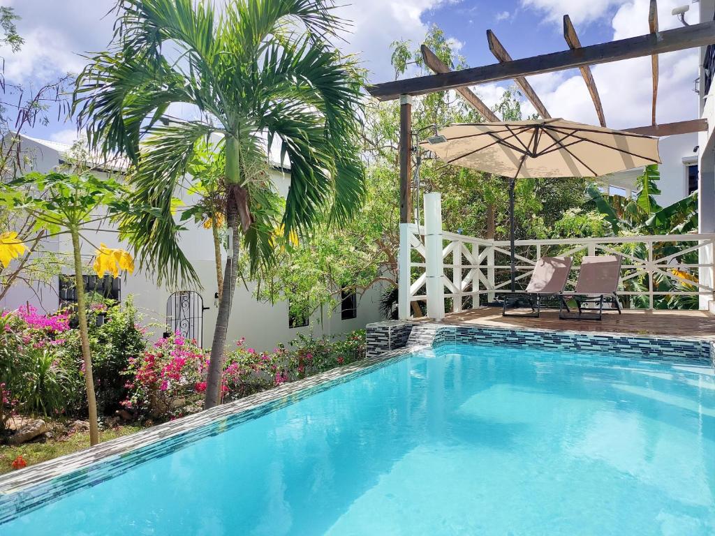 辛普森湾Blue Dream apartments的一个带棕榈树和遮阳伞的游泳池