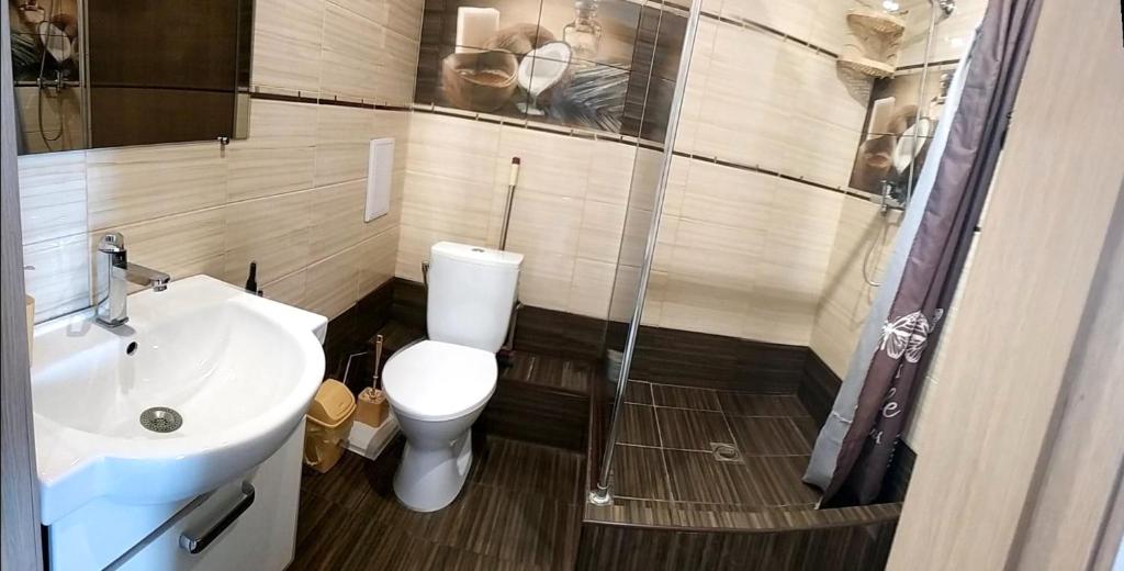 伊万诺-弗兰科夫斯克Квартири подобово Івано-Франківська Nice apartments for booking的浴室配有白色卫生间和盥洗盆。
