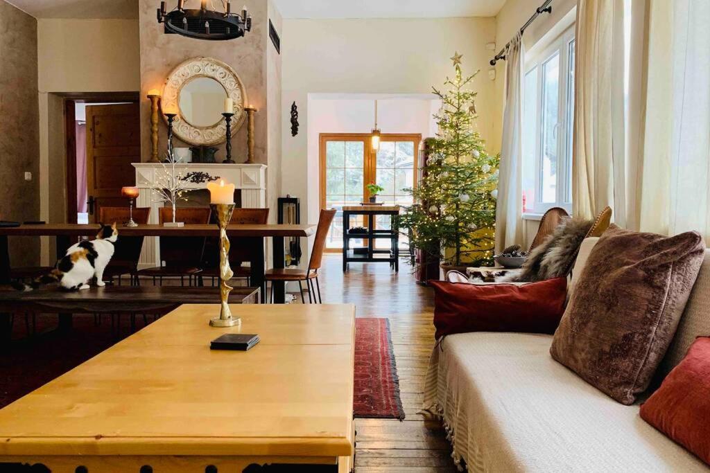 贝利伊斯库尔Villa Aquila的带沙发和圣诞树的客厅