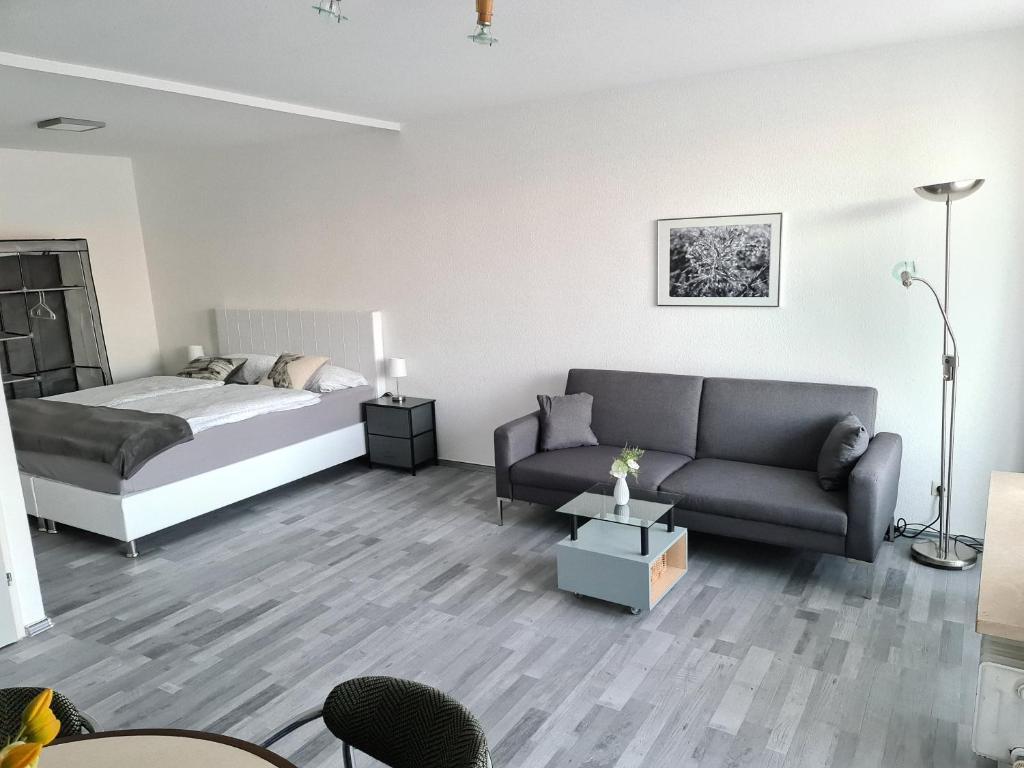 斯图加特Apartment`s Nr 2, 2b und 2C in Stuttgart Stadtmitte的一间卧室配有一张床和一张沙发