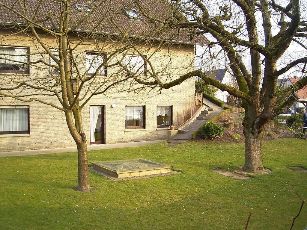 默讷塞Ferienhaus und Ferienwohnung Knappstein的两棵树的院子中的一个斜坡房子