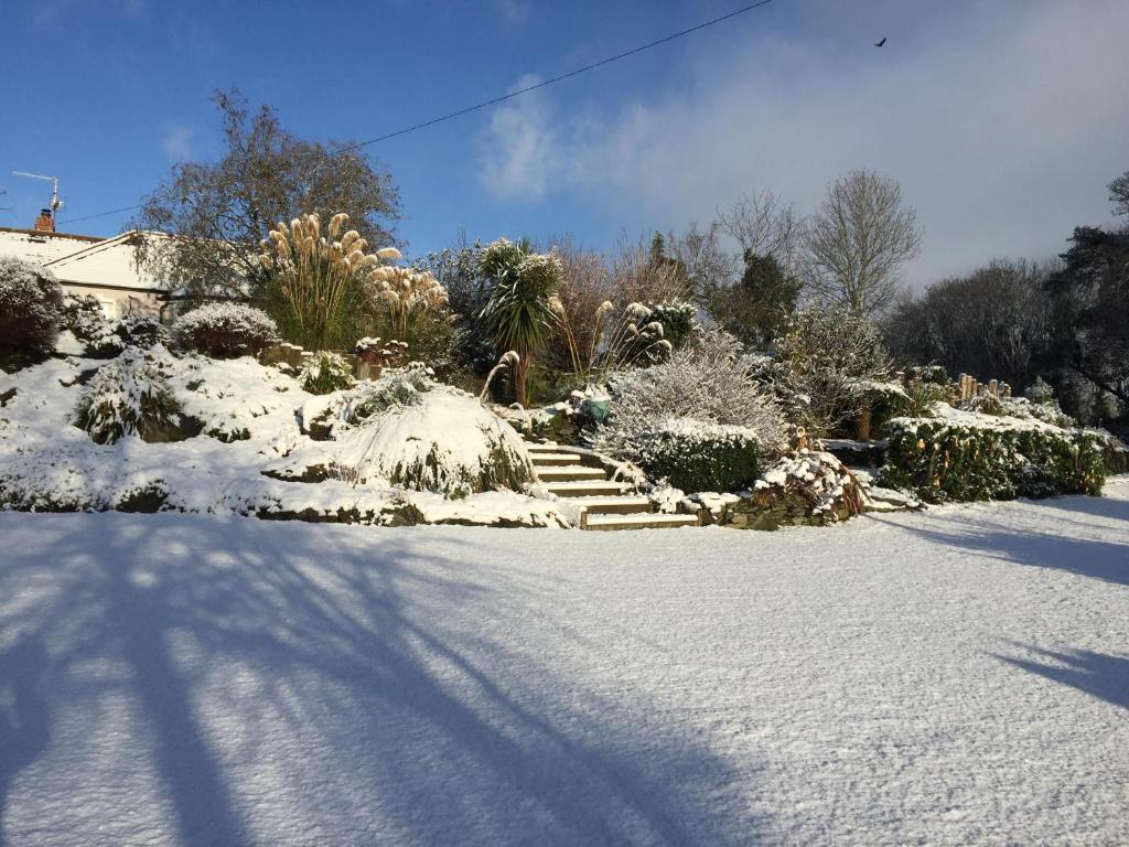 唐帕特里克The Mulberrys B&B的积雪覆盖的院子,有楼梯和植物
