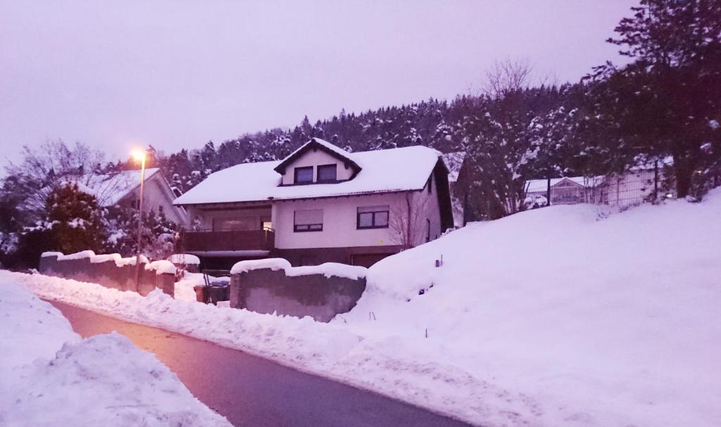 ImmendingenAn der grünen Donau - Ferienwohnung, wir bieten keine Parkplätze, Verpflegung oder Tücher an, Parken gegenüber auf der Straßenseite möglich的河旁的雪屋