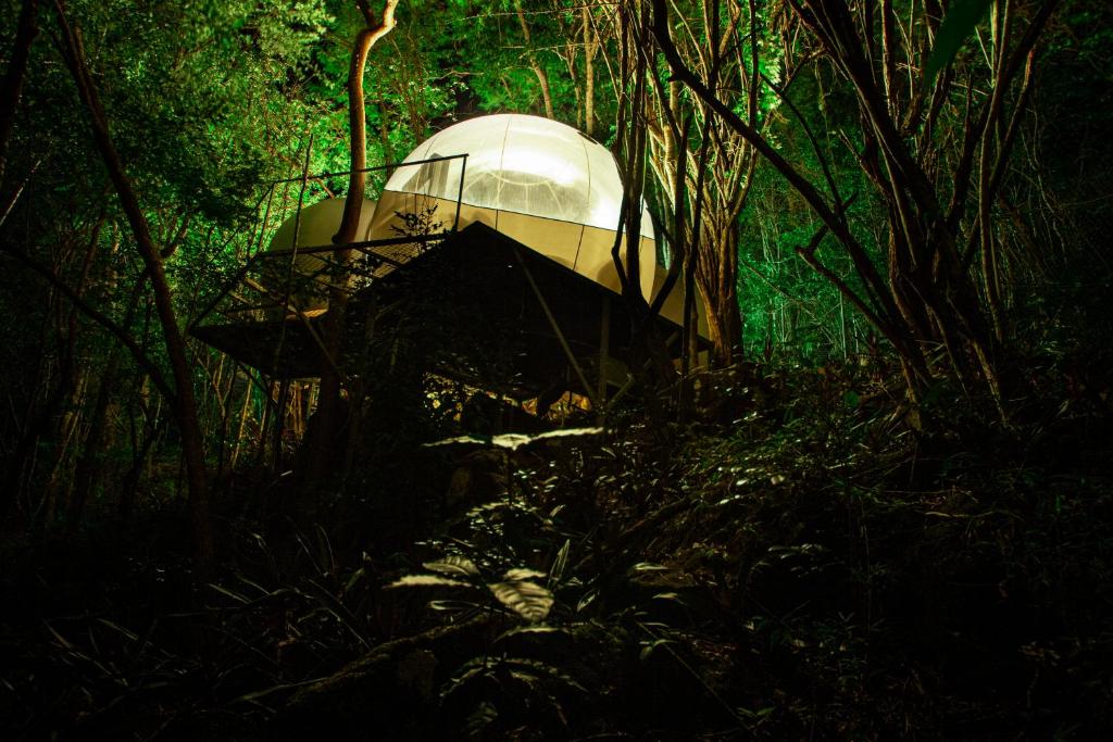 波尔兰特CHALET & MAISONS BULLES Deluxe的森林中间的帐篷