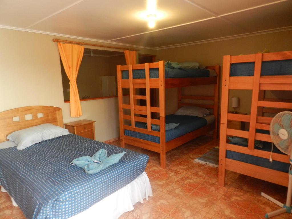 圣佩德罗·德·阿塔卡马Hostal Illari的一间卧室配有一张床和两张双层床。