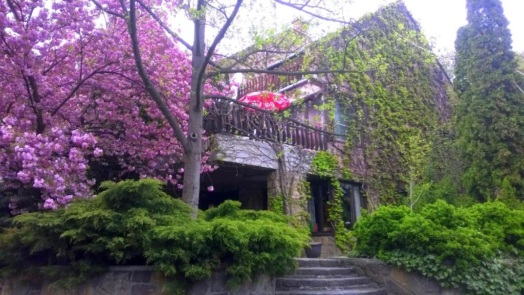 圣安德烈科拉潘兹酒店的一座紫色花的老房子