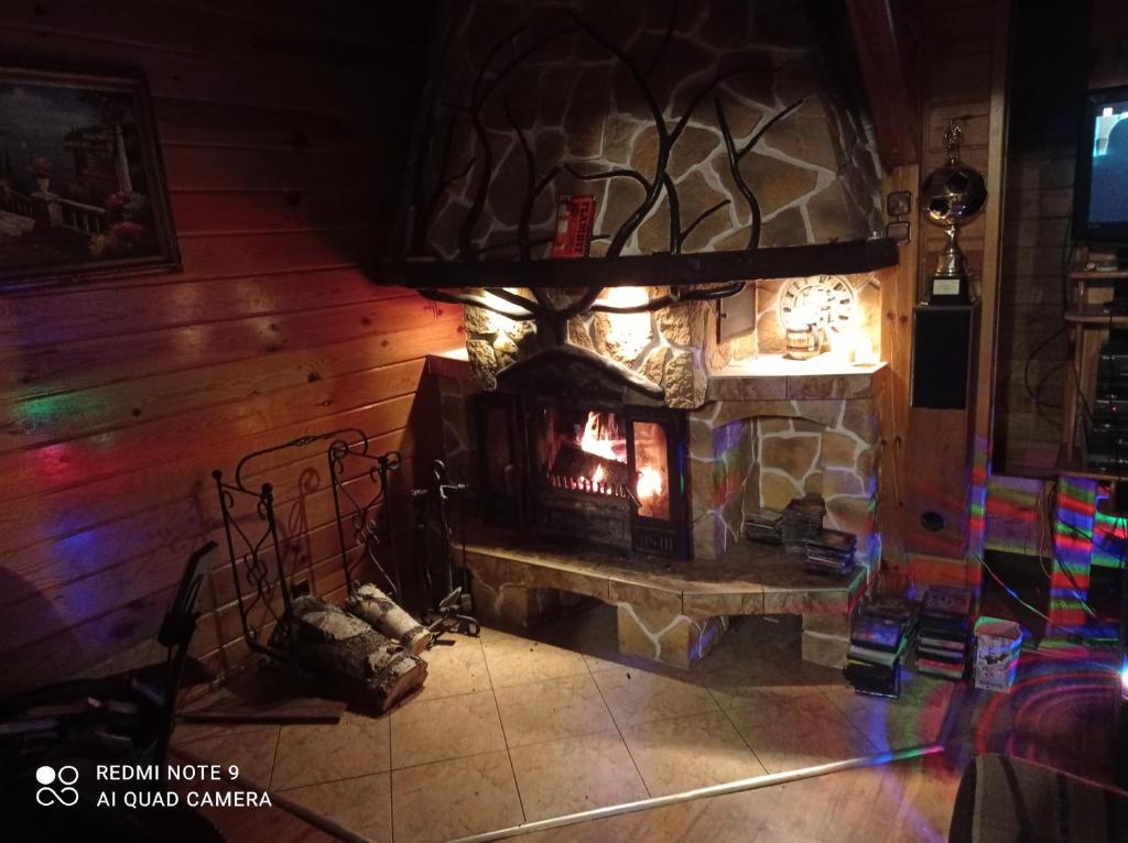 DąbrowaDom Parlinek agroturtstyka wędkowanie sauna jacuzzi的带壁炉的客房内的石头壁炉