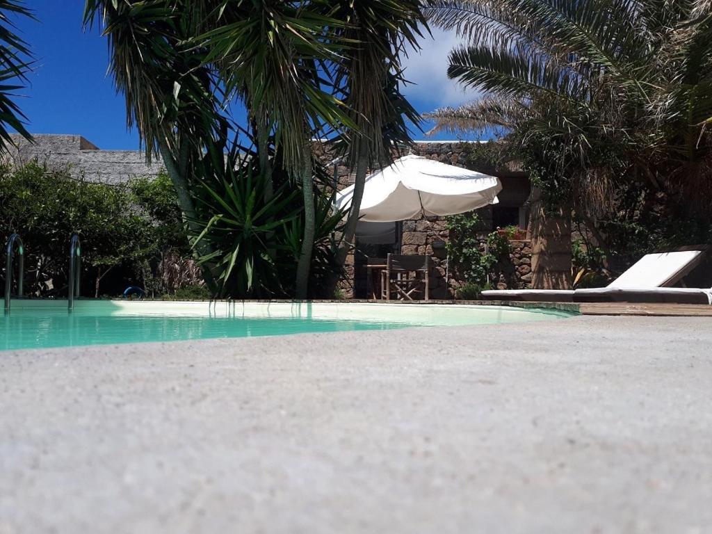 潘泰莱里亚Cactus b&b Le casette di Marilena的一个带白色遮阳伞和棕榈树的游泳池
