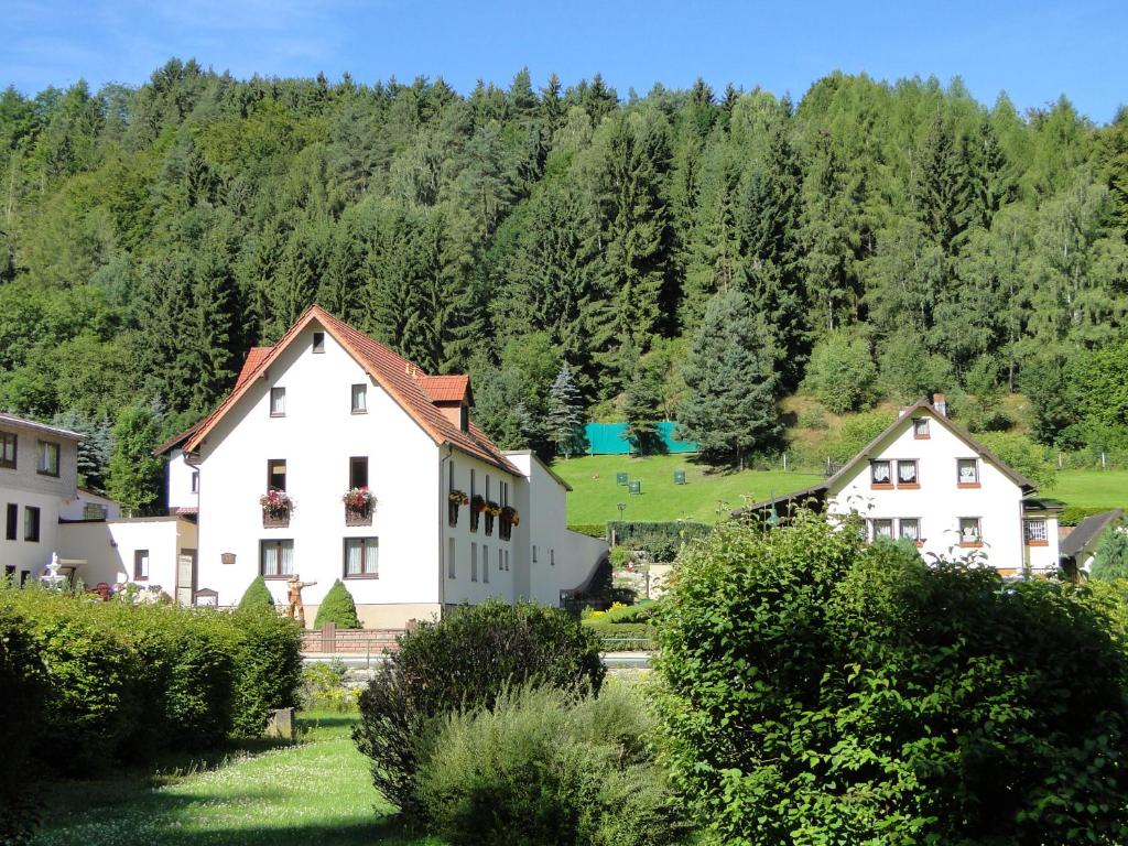 Rohrbach4 Sterne Ferienwohnung Sommerberg的山前的一群房子