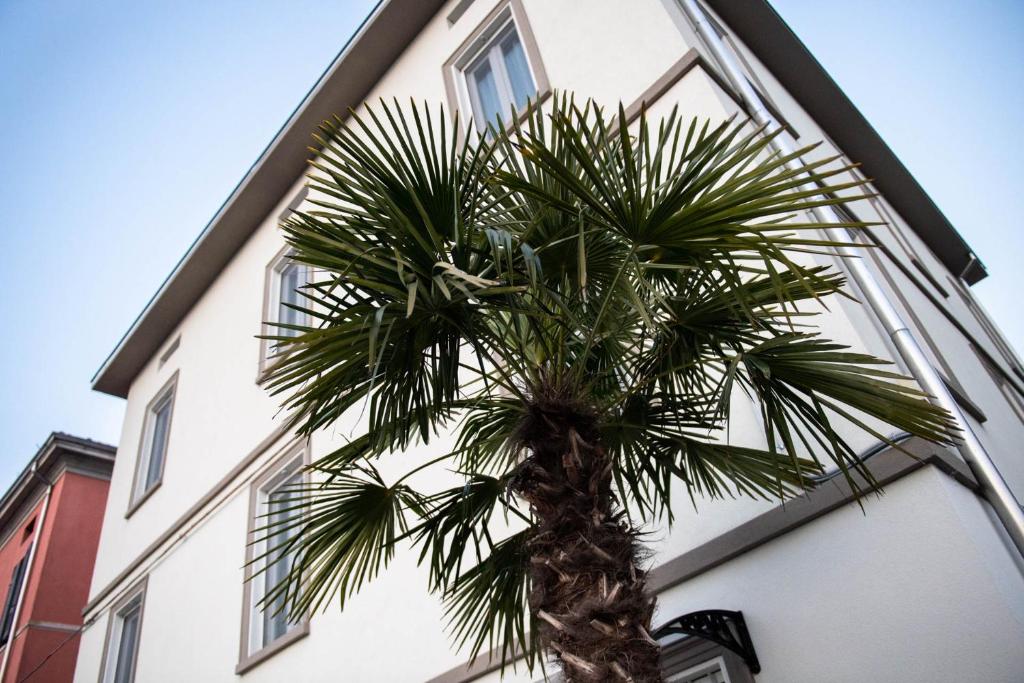 帕尔马Le PALME的一座建筑前的棕榈树