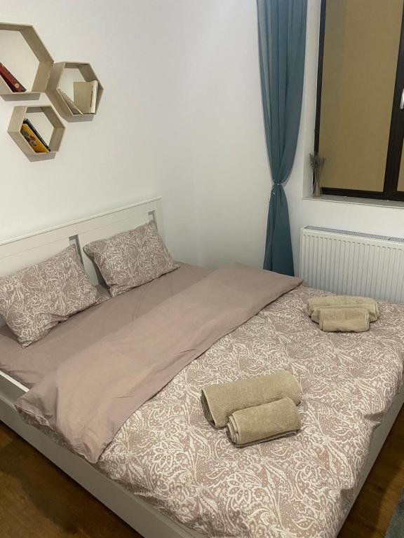 HuşiVila RAA Huși的一间卧室配有一张带两个枕头的床