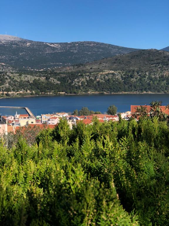 阿尔戈斯托利翁Liostasi Retreat的享有城镇和湖泊的景致。